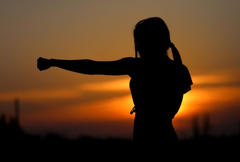 Tai Chi Fan Image