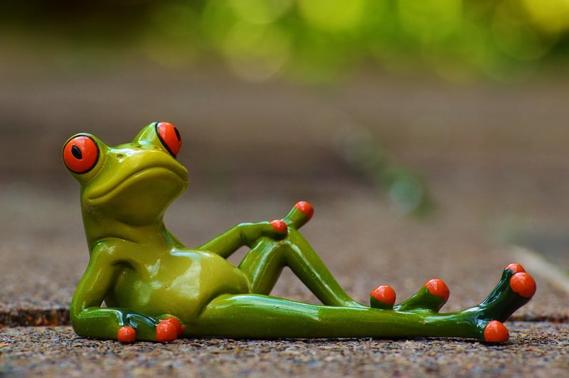 Meditation